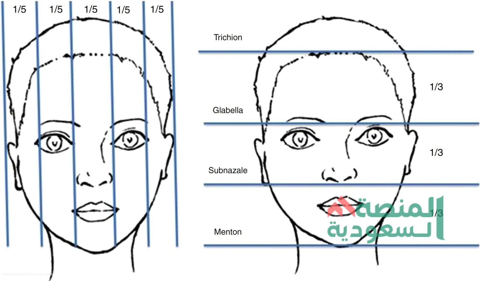 اختبار نوع جمال عند الرجال