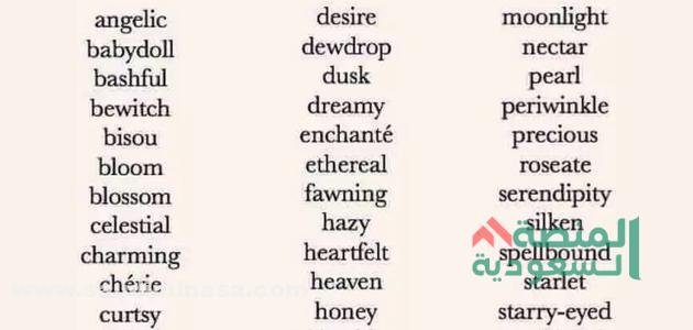 اسم مستخدم مميز بالانجليزي