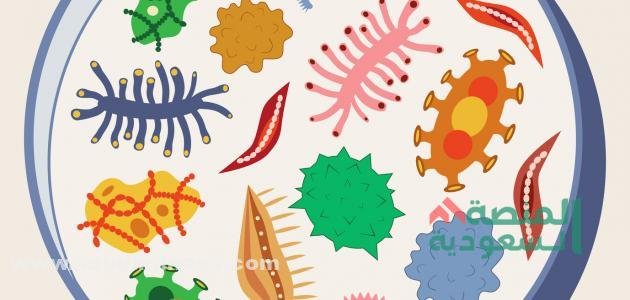 ما هي المملكة في علم الأحياء