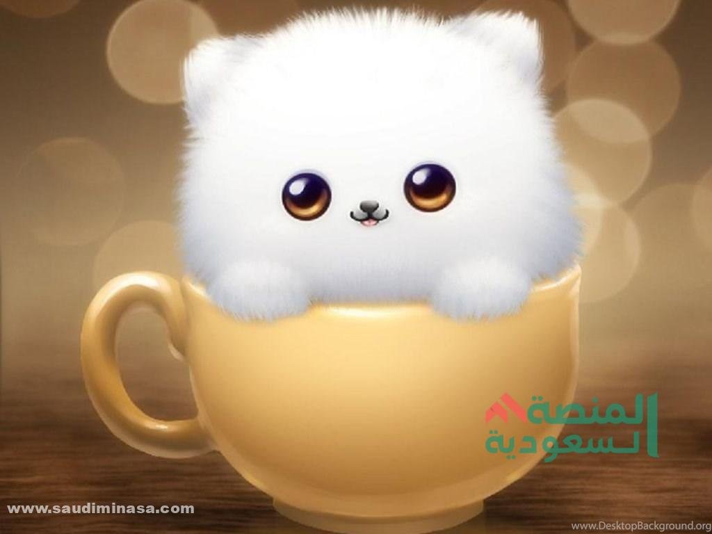 خلفيات لاب توب