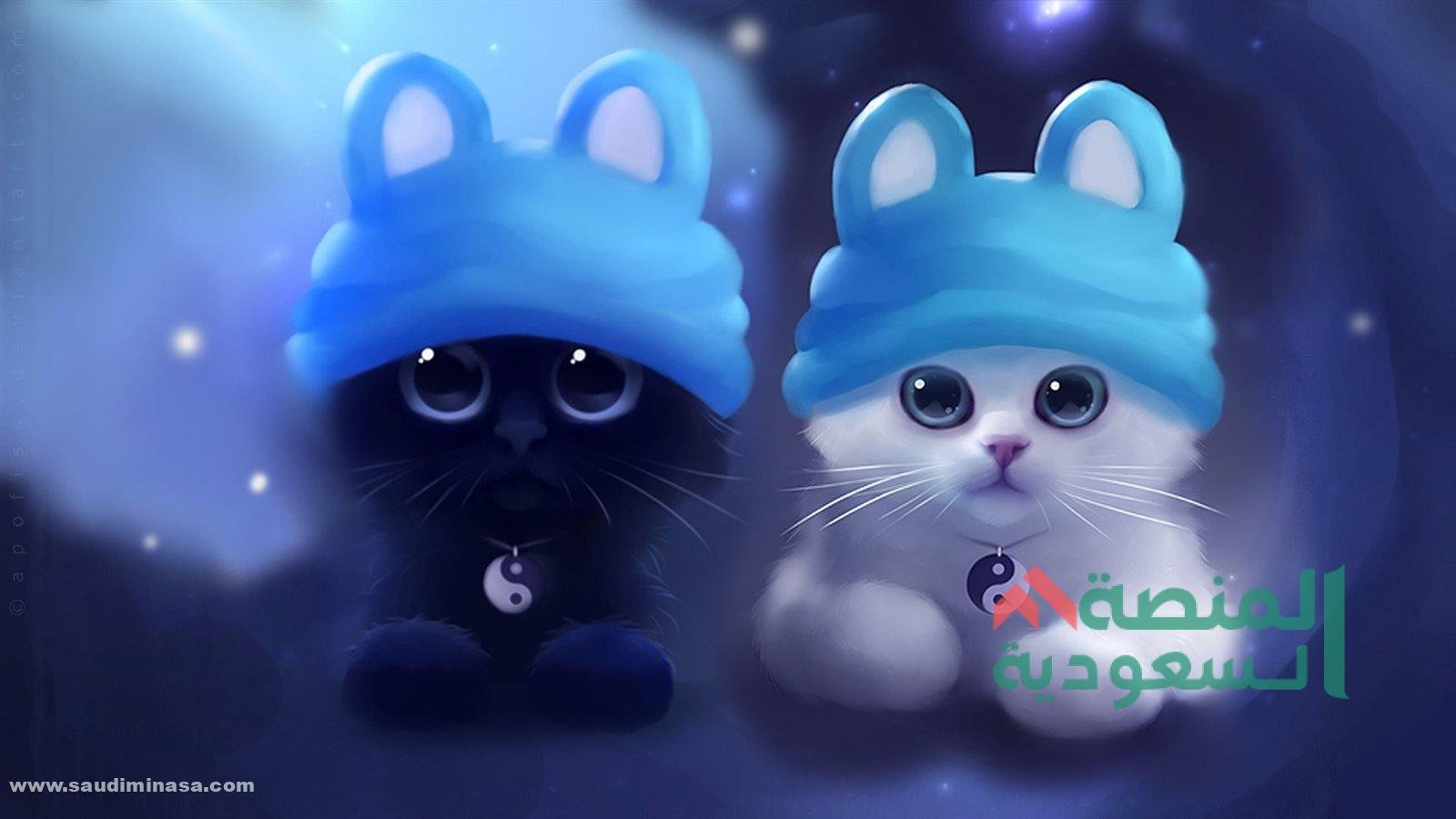 خلفيات لاب توب