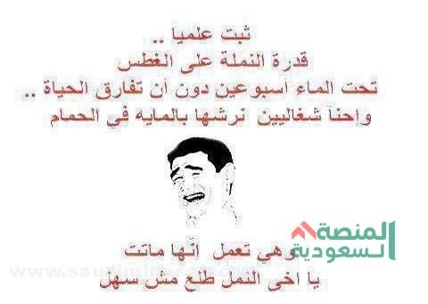 نكت مضحكة مصرية