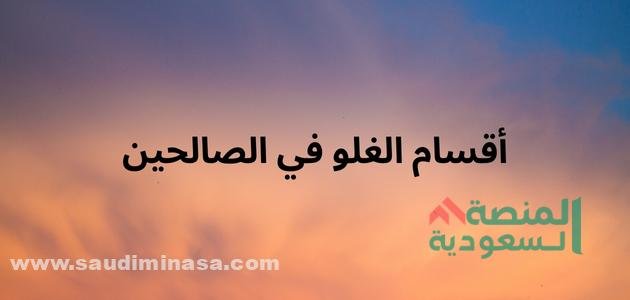 أقسام الغلو في الصالحين