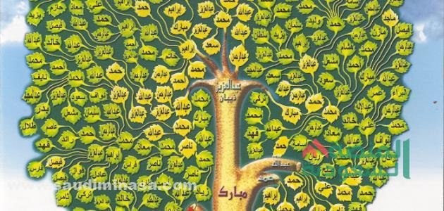 أسماء عوائل الرياض