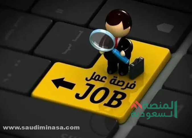 وظائف للسعوديين في الامارات 2024 | طرق التواصل