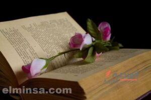 7 روايات رومانسية قصيرة جديدة | أروع قصص الحب والغرام