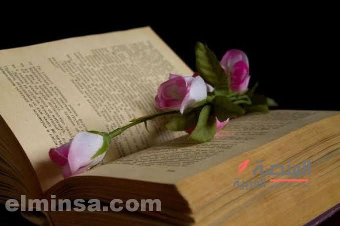 7 روايات رومانسية قصيرة جديدة | أروع قصص الحب والغرام